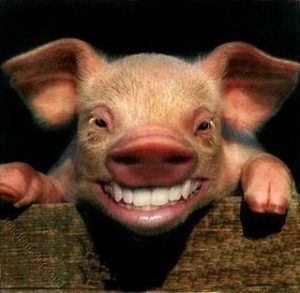 Redes sociales y el jamón ibérico